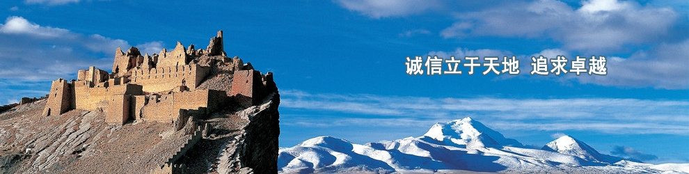 濟(jì)寧正邦表面處理劑有限公司